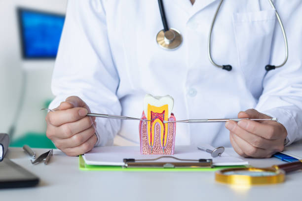 Best Emergency Denture Repair in Janesville, WI